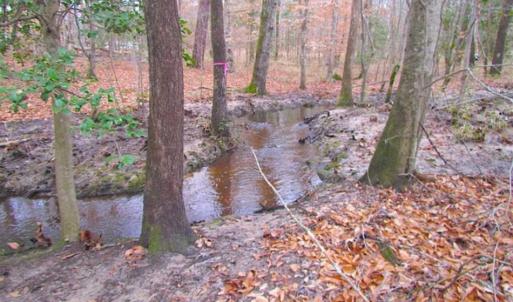 Photo of UNDER CONTRACT!!  42 Acres with 2,000 feet of River Frontage in Isle of Wight County Virginia!