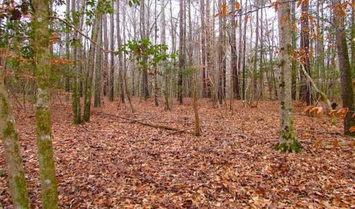 Photo of UNDER CONTRACT!!  42 Acres with 2,000 feet of River Frontage in Isle of Wight County Virginia!