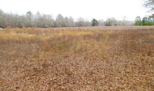 Photo of UNDER CONTRACT!!  42 Acres with 2,000 feet of River Frontage in Isle of Wight County Virginia!