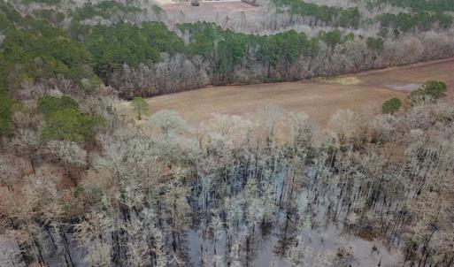 Photo of UNDER CONTRACT!!  42 Acres with 2,000 feet of River Frontage in Isle of Wight County Virginia!