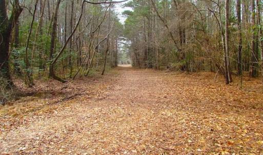 Photo of UNDER CONTRACT!!  42 Acres with 2,000 feet of River Frontage in Isle of Wight County Virginia!