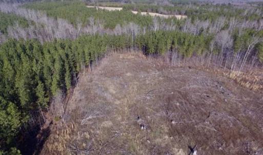 Photo of 65.92 Acres of Hunting and Recreational Land For Sale in Halifax County VA!