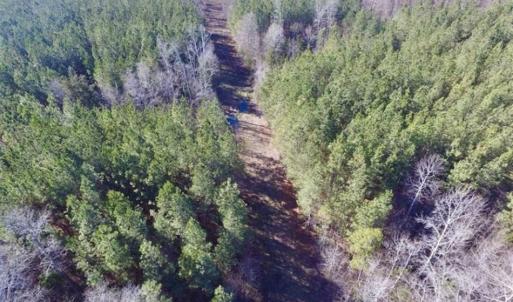 Photo of 65.92 Acres of Hunting and Recreational Land For Sale in Halifax County VA!