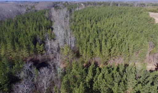 Photo of 65.92 Acres of Hunting and Recreational Land For Sale in Halifax County VA!