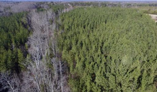 Photo of 65.92 Acres of Hunting and Recreational Land For Sale in Halifax County VA!