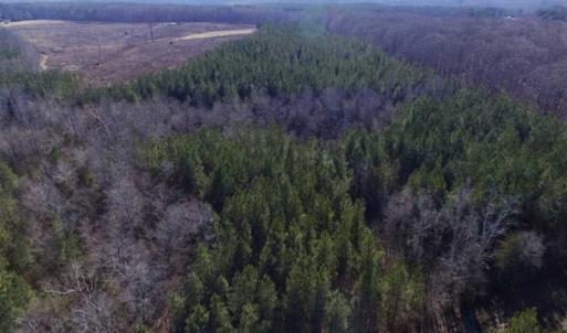 Photo of 65.92 Acres of Hunting and Recreational Land For Sale in Halifax County VA!