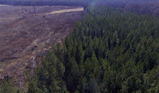 Photo of 65.92 Acres of Hunting and Recreational Land For Sale in Halifax County VA!