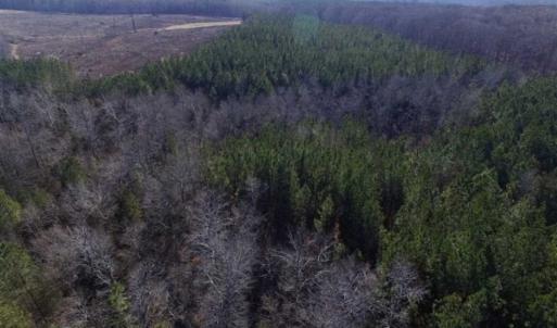 Photo of 65.92 Acres of Hunting and Recreational Land For Sale in Halifax County VA!