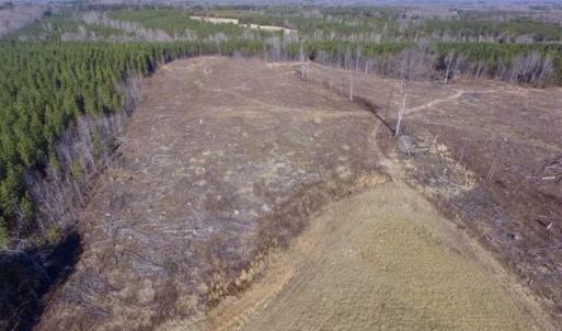 Photo of 65.92 Acres of Hunting and Recreational Land For Sale in Halifax County VA!