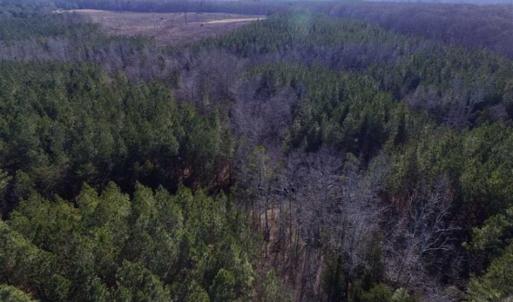 Photo of 65.92 Acres of Hunting and Recreational Land For Sale in Halifax County VA!
