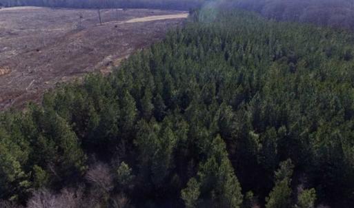 Photo of 65.92 Acres of Hunting and Recreational Land For Sale in Halifax County VA!