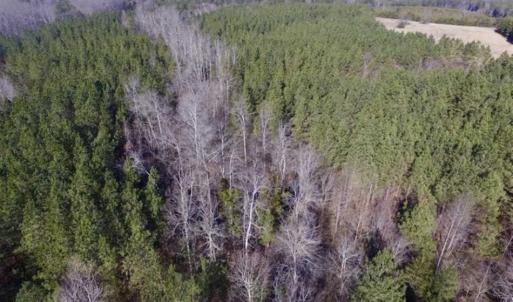 Photo of 65.92 Acres of Hunting and Recreational Land For Sale in Halifax County VA!