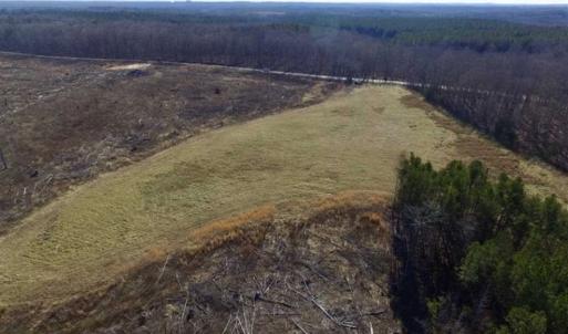 Photo of 65.92 Acres of Hunting and Recreational Land For Sale in Halifax County VA!