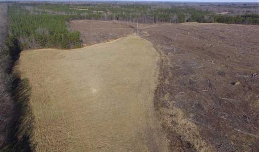 Photo of 65.92 Acres of Hunting and Recreational Land For Sale in Halifax County VA!