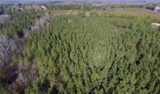 Photo of 65.92 Acres of Hunting and Recreational Land For Sale in Halifax County VA!
