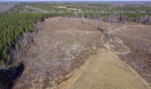Photo of 65.92 Acres of Hunting and Recreational Land For Sale in Halifax County VA!