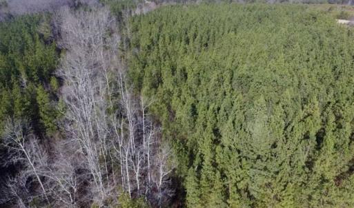 Photo of 65.92 Acres of Hunting and Recreational Land For Sale in Halifax County VA!