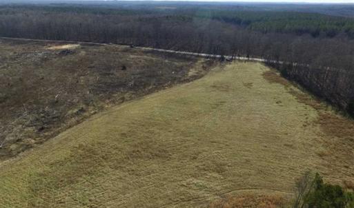 Photo of 65.92 Acres of Hunting and Recreational Land For Sale in Halifax County VA!