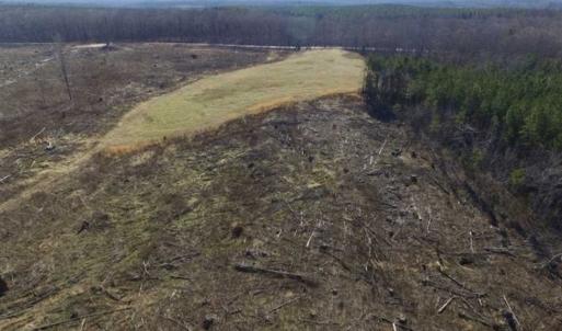 Photo of 65.92 Acres of Hunting and Recreational Land For Sale in Halifax County VA!