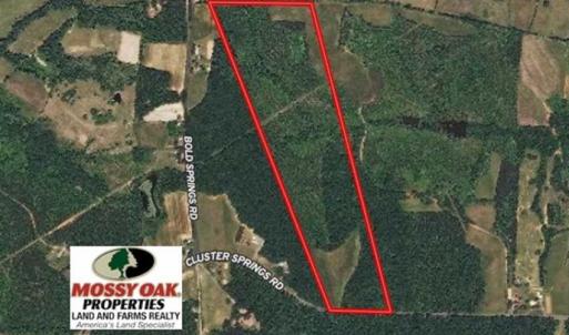 Photo of 65.92 Acres of Hunting and Recreational Land For Sale in Halifax County VA!