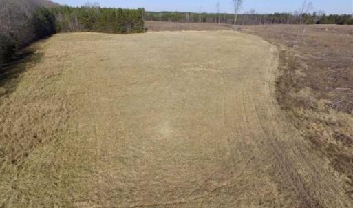 Photo of 65.92 Acres of Hunting and Recreational Land For Sale in Halifax County VA!
