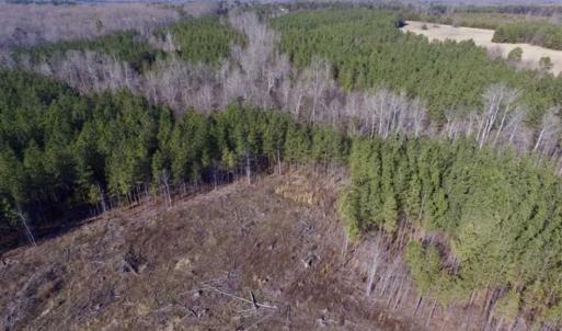 Photo of 65.92 Acres of Hunting and Recreational Land For Sale in Halifax County VA!