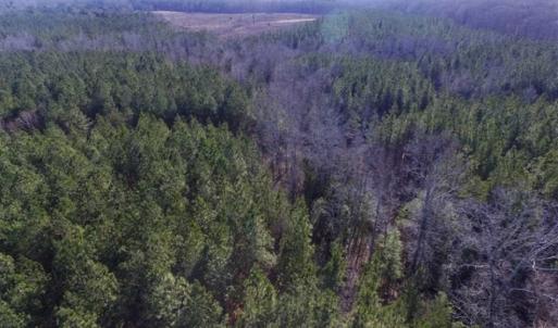 Photo of 65.92 Acres of Hunting and Recreational Land For Sale in Halifax County VA!