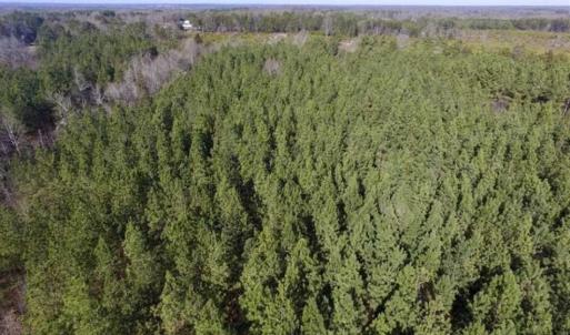 Photo of 65.92 Acres of Hunting and Recreational Land For Sale in Halifax County VA!