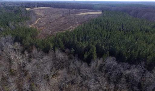 Photo of 65.92 Acres of Hunting and Recreational Land For Sale in Halifax County VA!