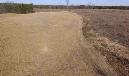 Photo of 65.92 Acres of Hunting and Recreational Land For Sale in Halifax County VA!