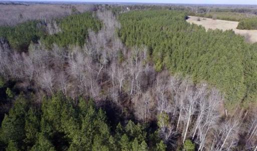 Photo of 65.92 Acres of Hunting and Recreational Land For Sale in Halifax County VA!