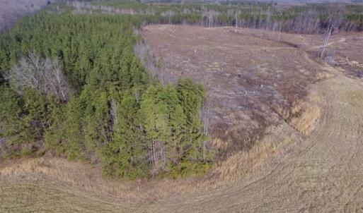 Photo of 65.92 Acres of Hunting and Recreational Land For Sale in Halifax County VA!
