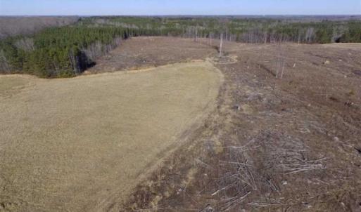 Photo of 65.92 Acres of Hunting and Recreational Land For Sale in Halifax County VA!