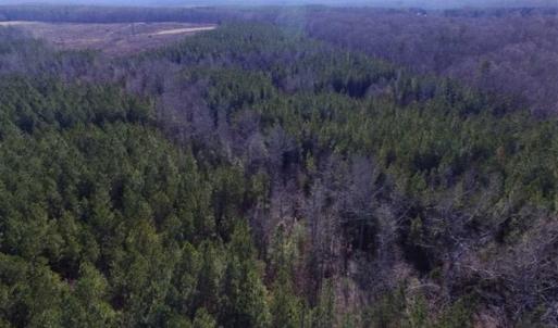 Photo of 65.92 Acres of Hunting and Recreational Land For Sale in Halifax County VA!