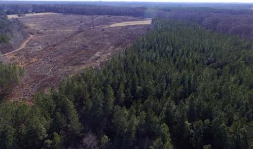 Photo of 65.92 Acres of Hunting and Recreational Land For Sale in Halifax County VA!