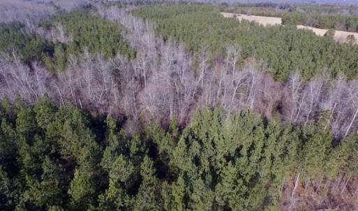 Photo of 65.92 Acres of Hunting and Recreational Land For Sale in Halifax County VA!