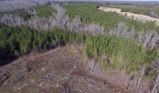 Photo of 65.92 Acres of Hunting and Recreational Land For Sale in Halifax County VA!