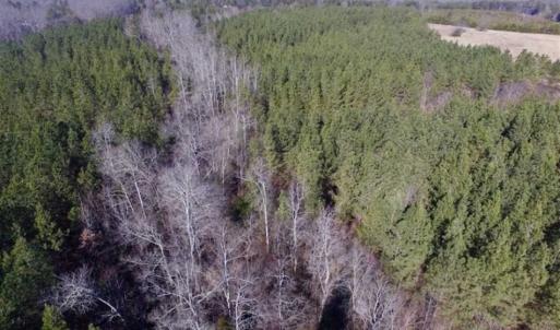 Photo of 65.92 Acres of Hunting and Recreational Land For Sale in Halifax County VA!