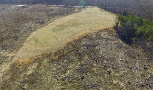 Photo of 65.92 Acres of Hunting and Recreational Land For Sale in Halifax County VA!
