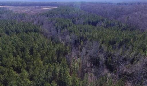 Photo of 65.92 Acres of Hunting and Recreational Land For Sale in Halifax County VA!