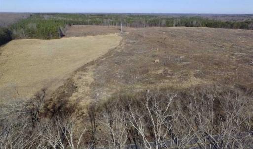 Photo of 65.92 Acres of Hunting and Recreational Land For Sale in Halifax County VA!