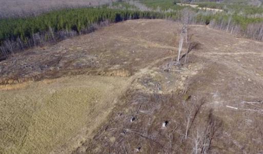 Photo of 65.92 Acres of Hunting and Recreational Land For Sale in Halifax County VA!