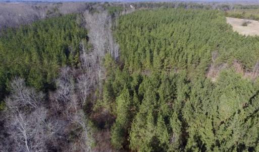 Photo of 65.92 Acres of Hunting and Recreational Land For Sale in Halifax County VA!
