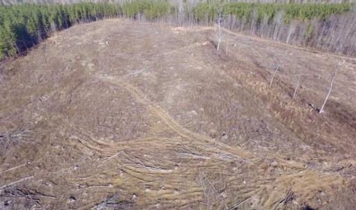 Photo of 65.92 Acres of Hunting and Recreational Land For Sale in Halifax County VA!