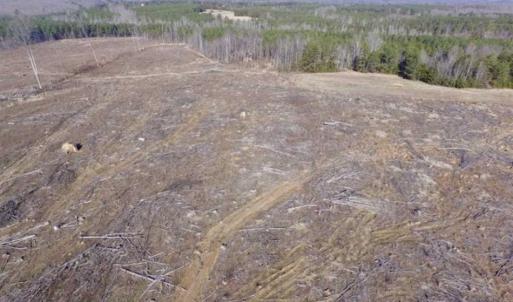 Photo of 65.92 Acres of Farmland and Recreational Land For Sale in Halifax County VA!