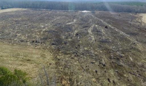 Photo of 65.92 Acres of Farmland and Recreational Land For Sale in Halifax County VA!