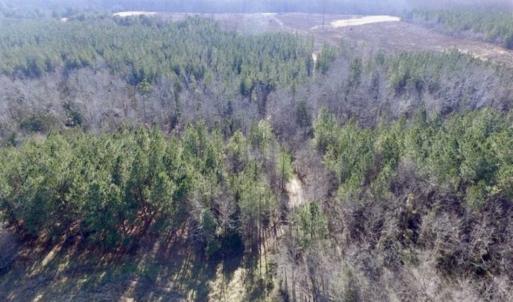 Photo of 65.92 Acres of Farmland and Recreational Land For Sale in Halifax County VA!
