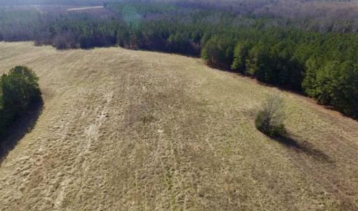 Photo of 65.92 Acres of Farmland and Recreational Land For Sale in Halifax County VA!