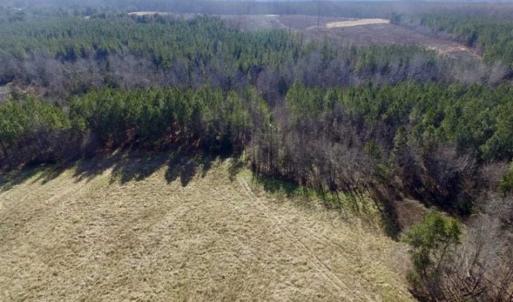 Photo of 65.92 Acres of Farmland and Recreational Land For Sale in Halifax County VA!