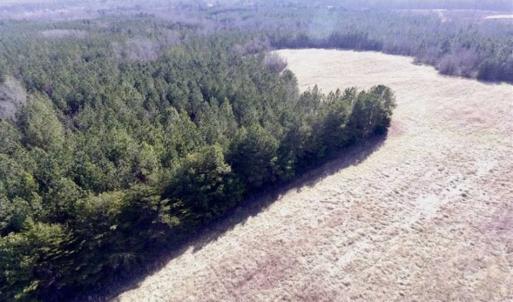Photo of 65.92 Acres of Farmland and Recreational Land For Sale in Halifax County VA!